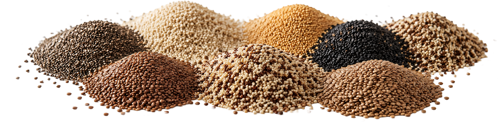 Variedade de sementes naturais incluindo gergelim, linhaça, chia e quinoa